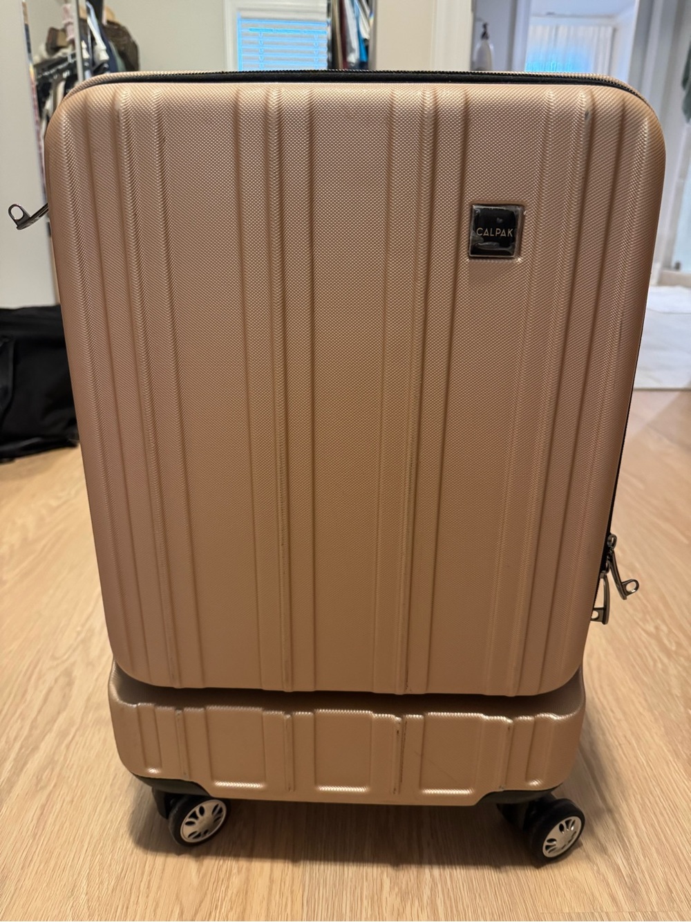 Calpak Carryon Suitcase